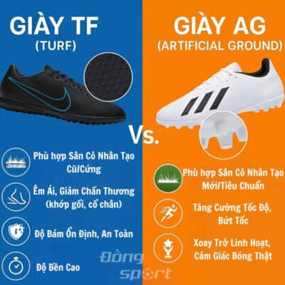 TF và AG khác nhau gì?